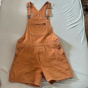 Patagonia overall shorts, organic cotton, medium